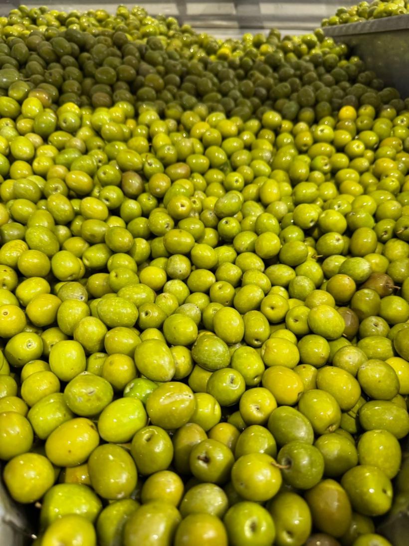 Românii adoră uleiul extravirgin! De ce polifenolii schimbă dieta zilnică