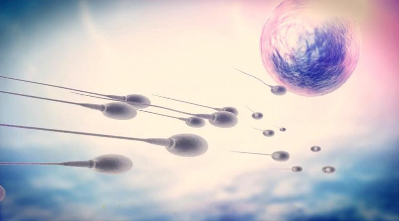 Un donator de spermă cu o mutație genetică gravă devine tată pentru aproape 200 de copii în Europa 18984924