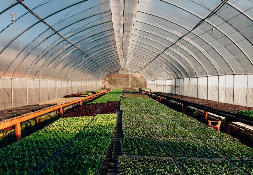 PSD cere eliminarea impozitului pe solare 