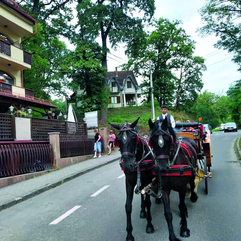 Ce vrea românul de la vacanța de Sărbători. Tendințele momentului în turism