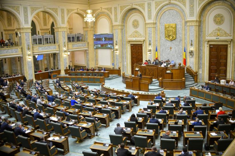 Moțiunea simplă depusă de AUR împotriva Dianei Buzoianu a fost adoptată