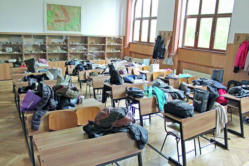 Marea bulibășeală: Nouă programă de Limba și literatura română pentru clasa a IX-a 18985728