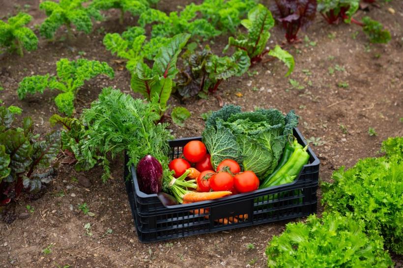 Guvernul Bolojan inventează o nouă taxă. Un impozit crește cu 140% din 2026