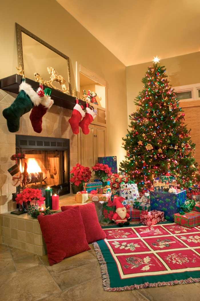 Cum protejezi bradul de Crăciun de curiozitatea pisicii: Sfaturi pentru o conviețuire armonioasă