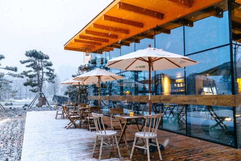 Inovație și eficiență: încălzitoarele de terasă cu infraroșu și rolul lor în tranziția ecologică 