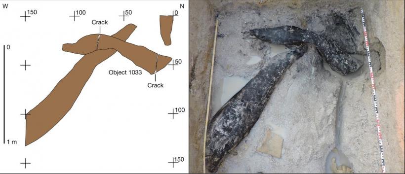 Descoperire istorică: Cea mai veche structură din lemn datează dinainte de Homo sapiens 18986561
