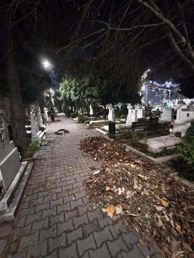 REPORTAJ: Revoluția uitată. Când eroii sunt înlocuiți cu Ceaușescu 18986682