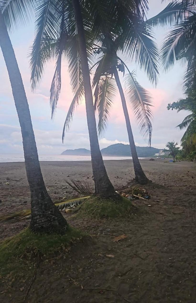 Peste Atlantic, printre români și tăceri 18986863