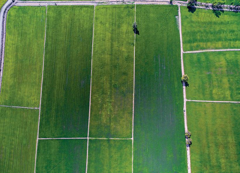 Cât costă terenurile arabile în România? Prețurile medii pe hectar în regiunile țării