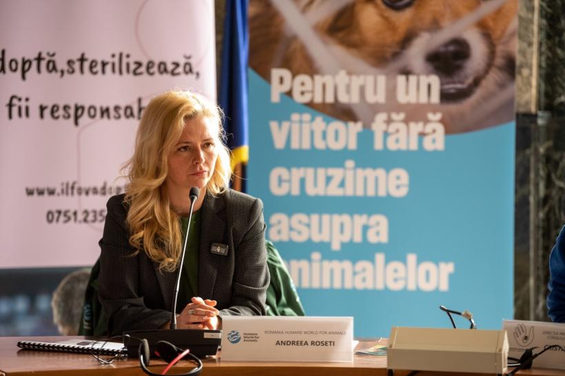 Studiu: Bunăstarea animalelor se vede în farfuria noastră: ouă mai gustoase și mai sănătoase de la găini crescute liber