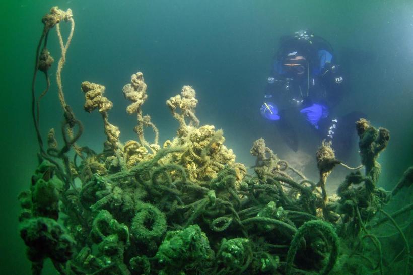 BlackNETs curăță Marea Neagră: 9 tone de unelte de pescuit eliminate