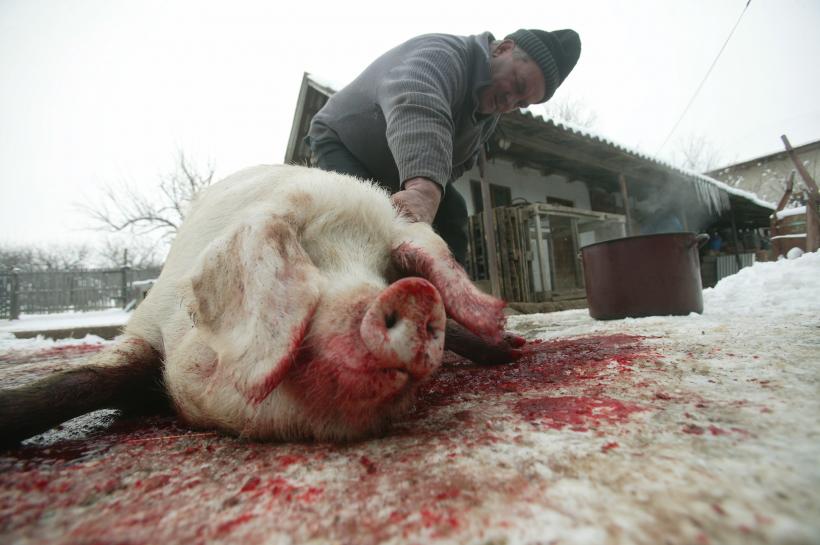 Tradiția românească din Ajunul Crăciunului, contestată de Biserică. Părintele Vasile Ioana: „ „Nu mâncați de dulce!””