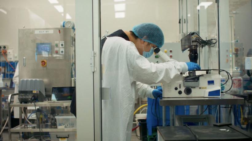 Revoluție medicală în 2025: celulele stem care pot schimba tratamentele imposibile