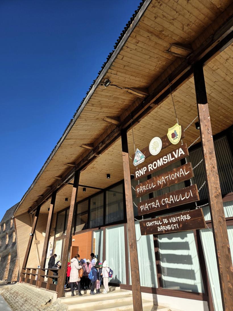 Romsilva își diversifică veniturile: aproape 7 milioane de euro din activități conexe în 2025