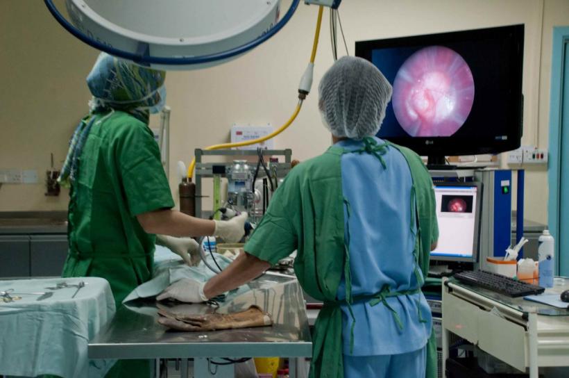 Medicii pot spune „Nu!” Noul An schimbă regulile pentru doctorii din România. Care sunt limitele „clauzei de conștiință” în medicină