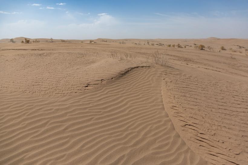 Arabia Saudită și Emiratele importă nisip din Australia, deși au deșerturi imense