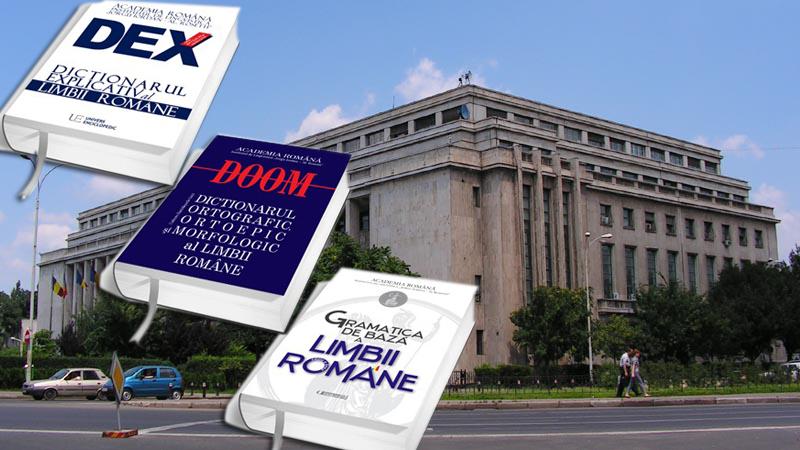 Cele mai căutate cuvinte pe dexonline în 2025 arată preocupările și frustrările românilor: "Suveranitate" și "sinecură", în top