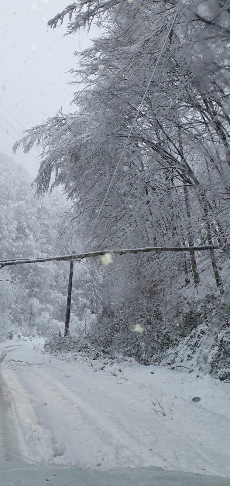 15.000 de oameni din Alba nu au nici acum curent din cauza ninsorilor