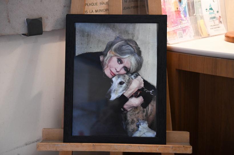 Dezvăluirile soțului: ce boală a avut Brigitte Bardot și cum au fost ultimele luni ale actriței