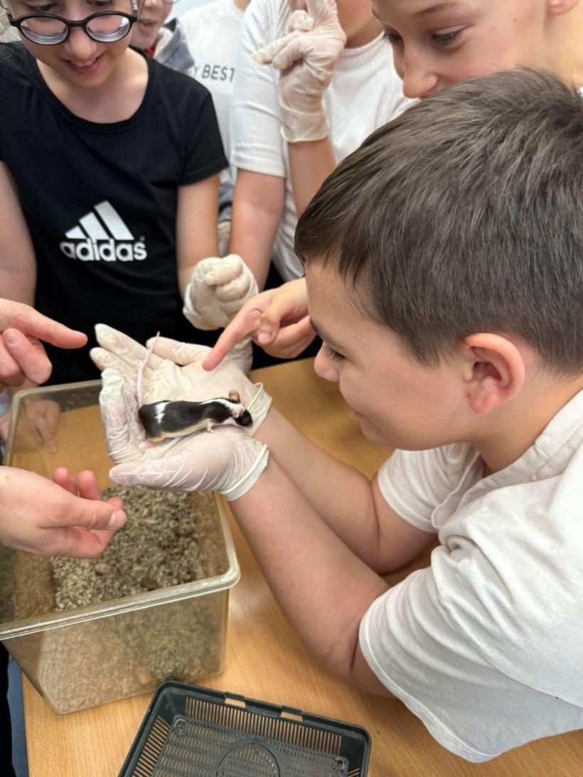 O nouă materie opțională, iubită de copii: Ora cu și pentru animale 18988762