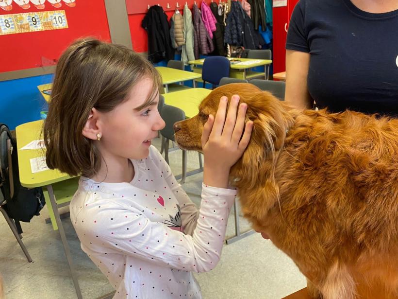 O nouă materie opțională, iubită de copii: Ora cu și pentru animale