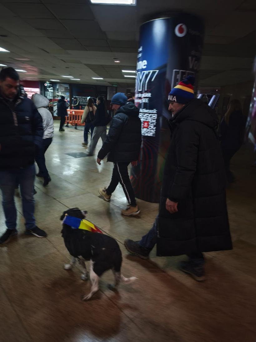 Incidente la „protestul împotriva Legii Vexler” 18990068