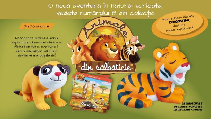 O nouă aventură în natură: suricata, vedeta numărului 8 din colecția „Animale din sălbăticie”