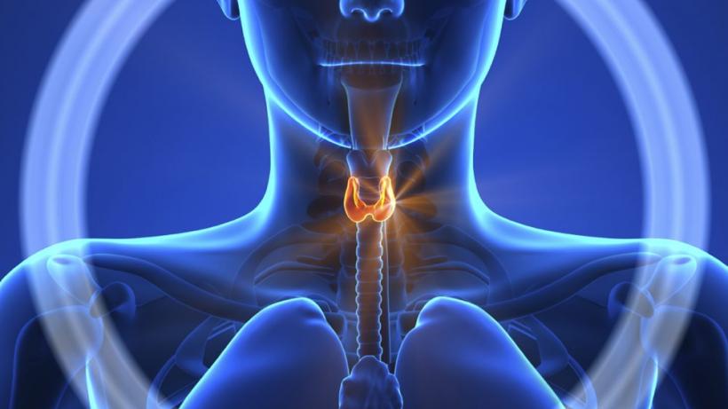 Ce să consumi pentru a preveni afecțiunile tiroidei