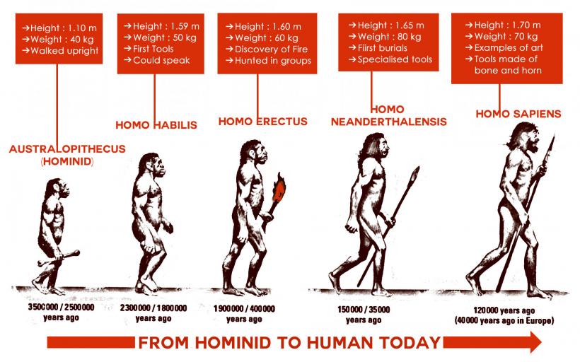 „Morala este un element absolut crucial în formarea omului şi ceea ce ne-a permis să devenim specia dominantă” 18990925