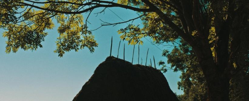 Unul dintre cele mai așteptate filme ale anului, CATANE, comedia-manifest semnată de Ioana Mischie, se lansează în cinematografele din România din 26 ianuarie 2026 18991342