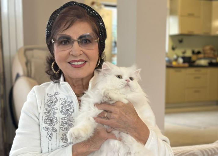 Imaginea Irinei Loghin, folosită ilegal pe internet pentru reclame la medicamente