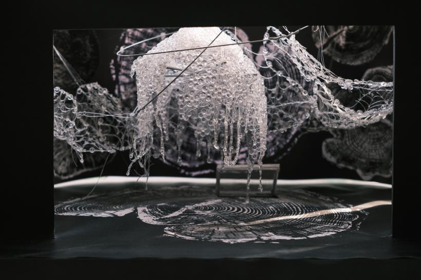 Bienala de Scenografie București 2026 lansează open call-ul internațional 18991361