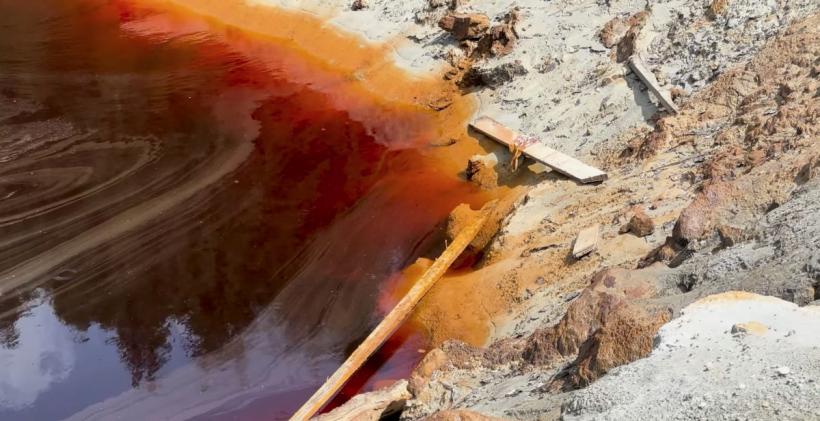 Iazurile miniere otrăvesc zona Băiuț de 20 de ani. Statul se grăbește doar pentru castori 18991506