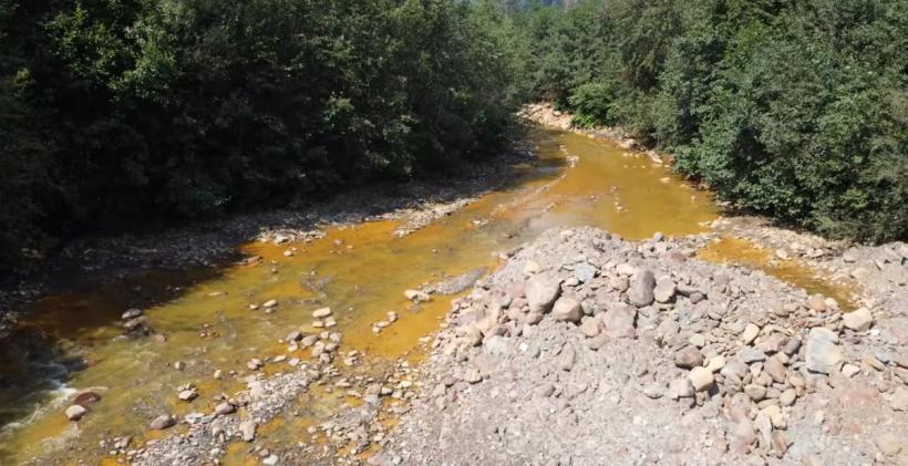 Iazurile miniere otrăvesc zona Băiuț de 20 de ani. Statul se grăbește doar pentru castori 18991511