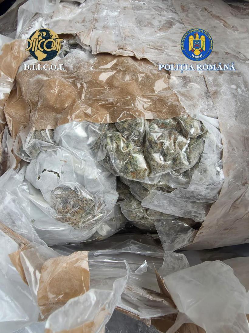 Trafic de droguri Vrancea 2026: 15 kg canabis din Spania, 5 suspecți reținuți de DIICOT 18991910