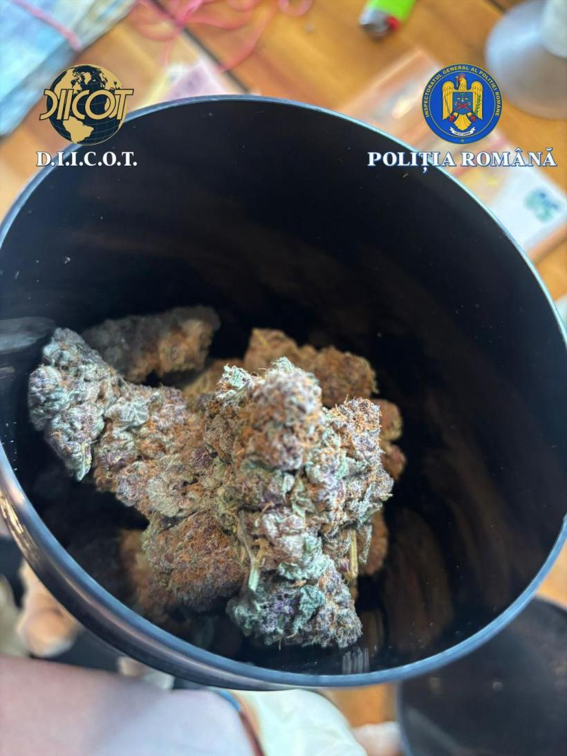 Trafic de droguri Vrancea 2026: 15 kg canabis din Spania, 5 suspecți reținuți de DIICOT 18991911