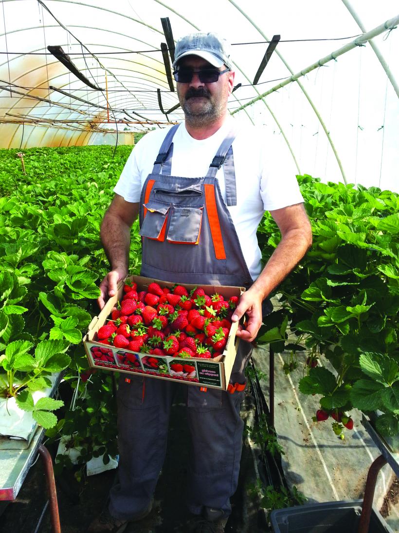 Legumicultorii cer majorarea ajutoarelor pentru solarii. Costurile pot crește cu până la 70%