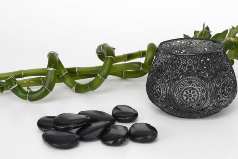 Cum să înmulțești bambusul norocos acasă