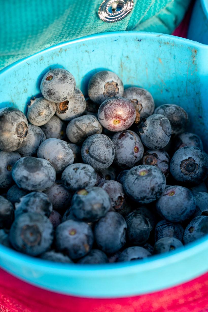 Cele mai bune superalimente pentru rinichi sănătoși. Ce recomandă medicii