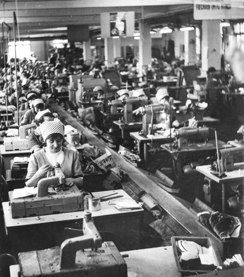 Activitățile economice care au susținut dezvoltarea Bihorului – într-o expoziție inedită