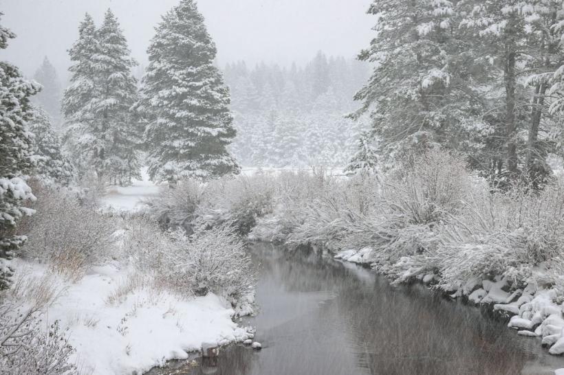 Alertă meteo imediată de vreme severă! Vânt puternic, ploaie și ninsoare în România. Iată lista localităților afectate