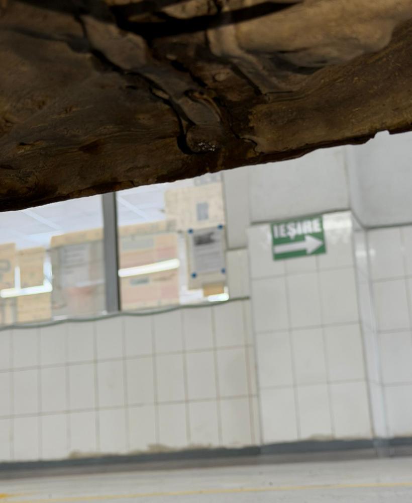 A mers la RAR pentru un act și a rămas fără ITP! Ce au descoperit inspectorii 18993148