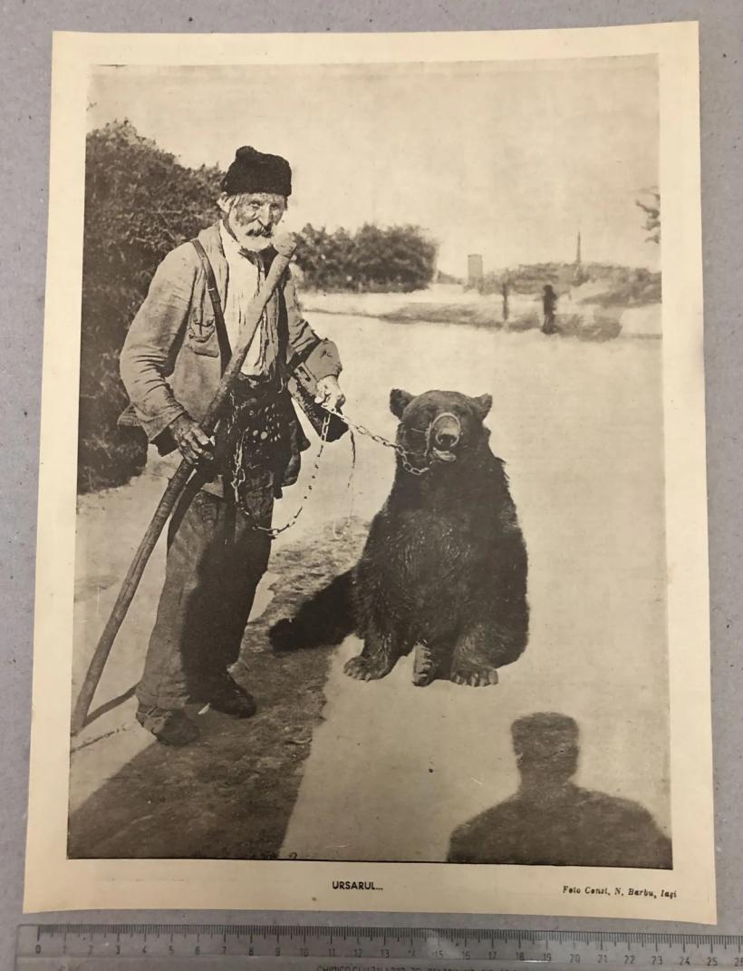 Înțelesurile pierdute ale expresiei „a se da în stambă” 18993125