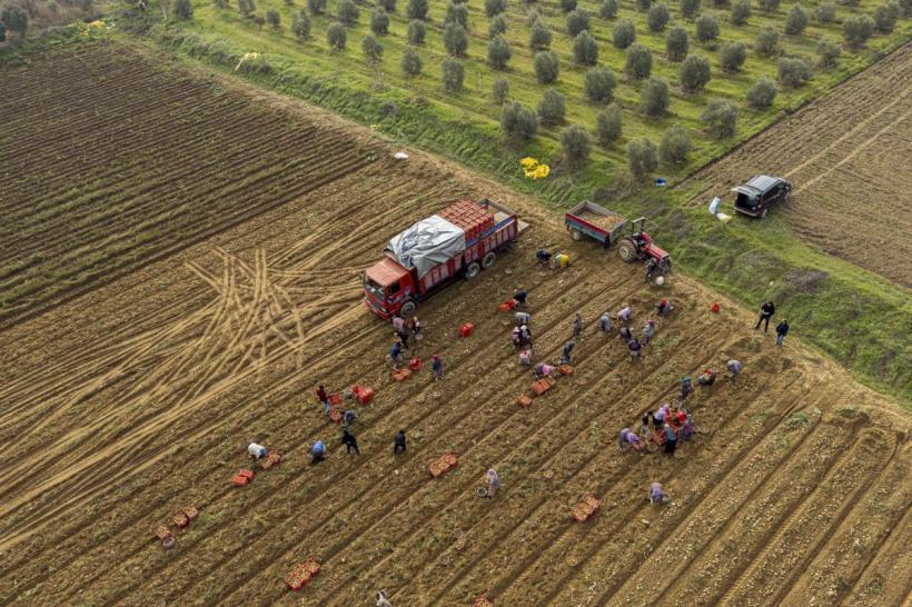Agricultura României, în pragul unei crize majore: liderii din retail cer schimbări radicale