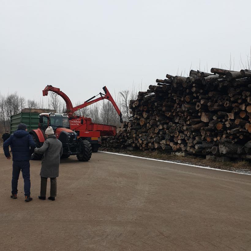 Biomasa, veriga lipsă din strategia energetică a României