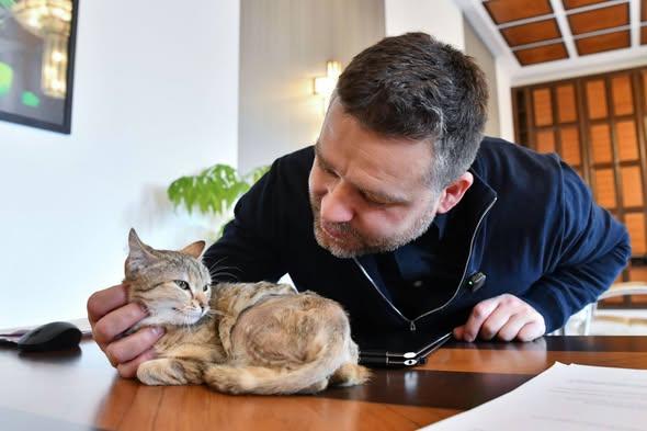 Ciprian Ciucu va împărţi biroul de la Primăria Capitalei cu o pisică operată în urma unui accident