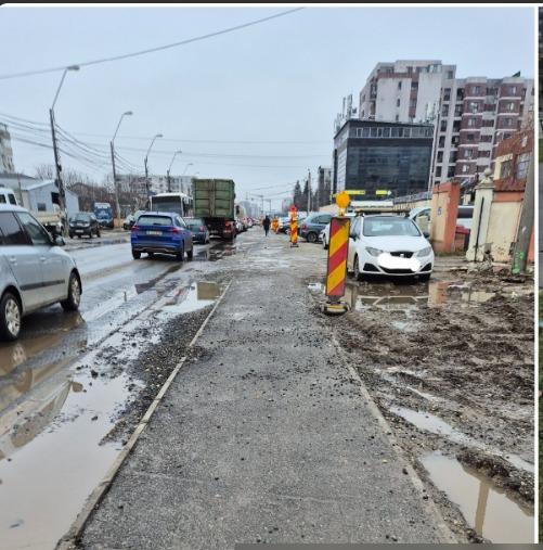 Declararea zonei Serele Militari pădure urbană: 10 ani de luptă cu autoritățile, două hotărâri de consiliu local și nimic rezolvat în teren 18994407