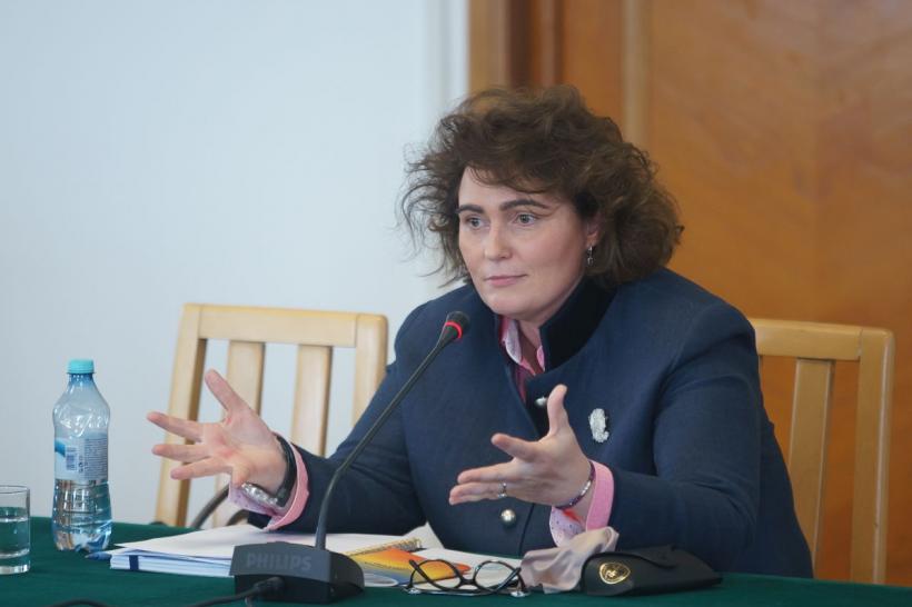 Identitatea unei judecătoare CCR, folosită de mafioții ucraineni pentru a frauda o firmă din România