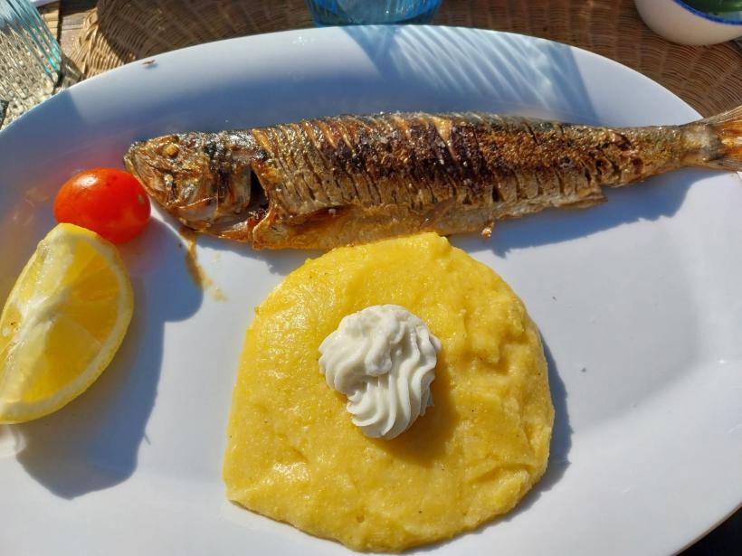 Punctele Gastronomice Locale, sabotate de direcțiile sanitar-veterinare 18994765