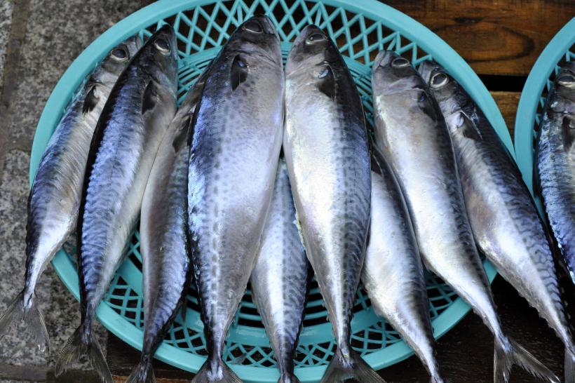 Beneficiile surprinzătoare ale sardinelor: Ghid pentru o dietă echilibrată